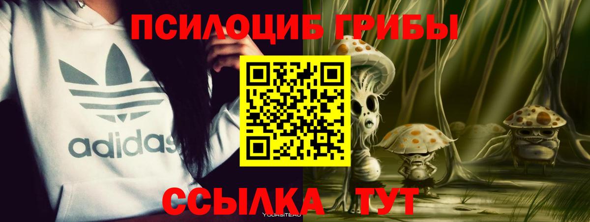Галлюциногенные грибы GOLDEN TEACHER  Вход с VPN  Галлюциногенные грибы MAGIC MUSHROOMS  Краснотурьинск 